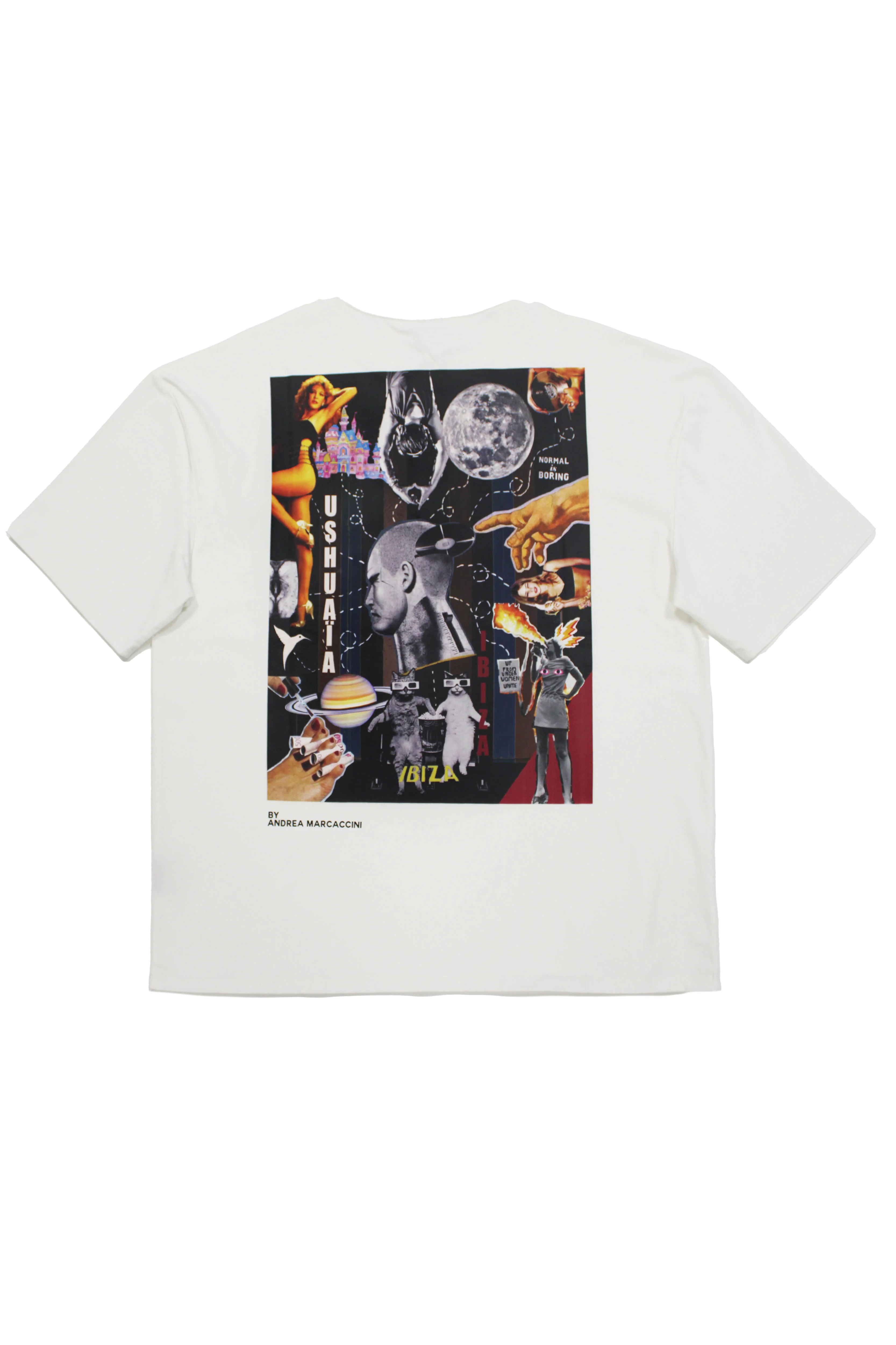 T-SHIRT CELDRIC - Image 6